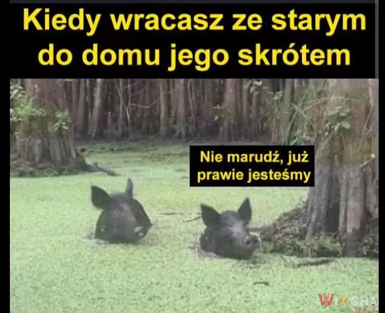 Już prawie jesteśmy