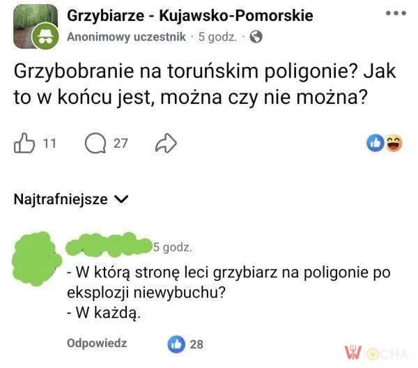 Grzyby i polityka