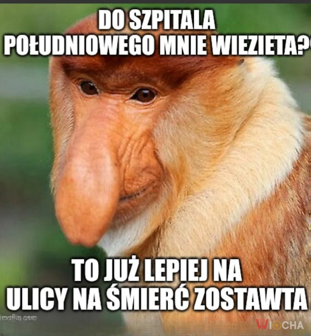 Zostawta na ulicy