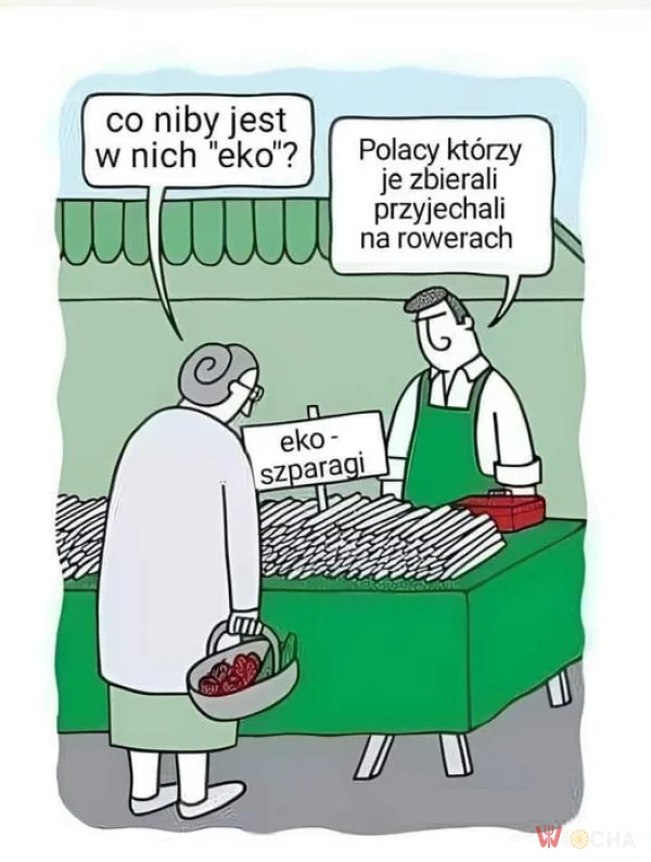 Co jest w tym eko?