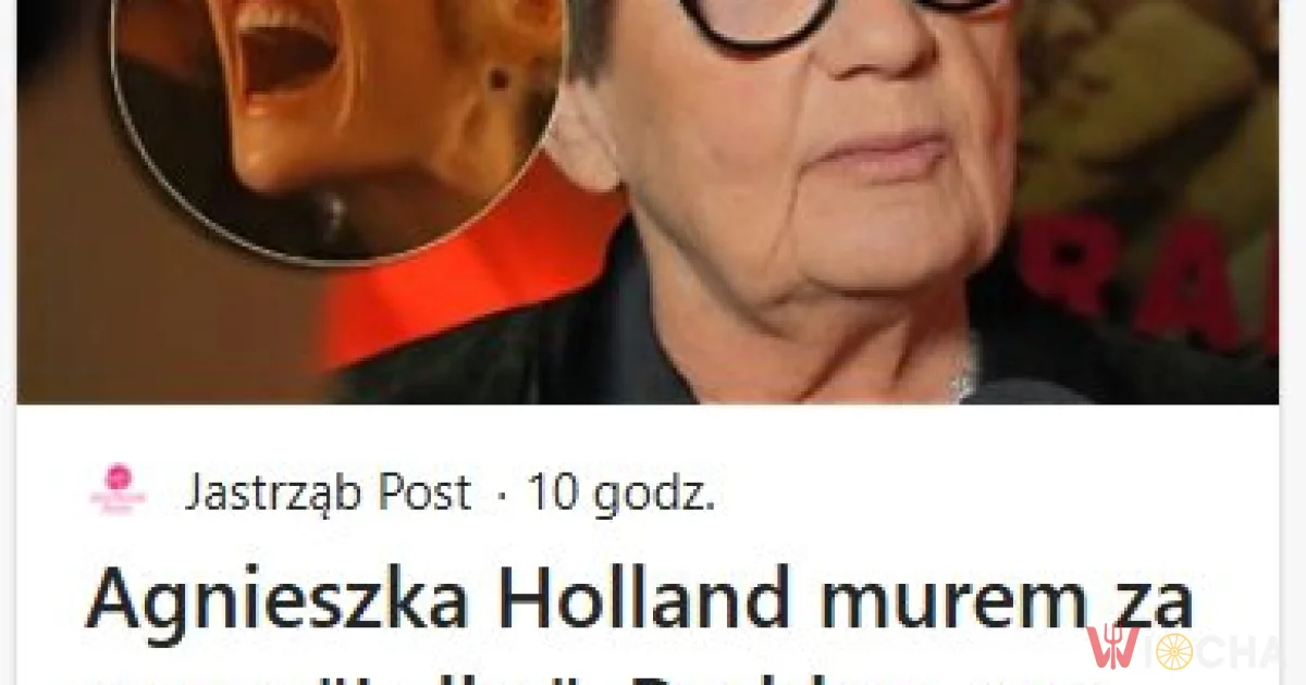 Czyli jak zwykle Polacy są problemem