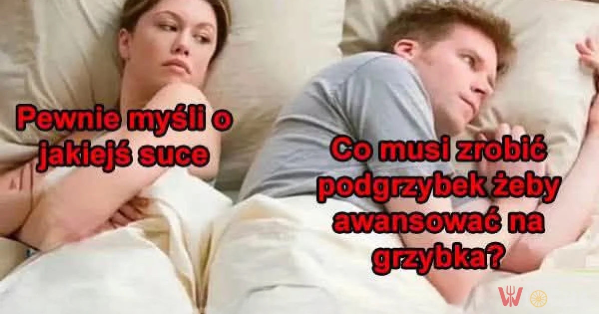 Co jeszcze musi udowodnić podgrzybek?