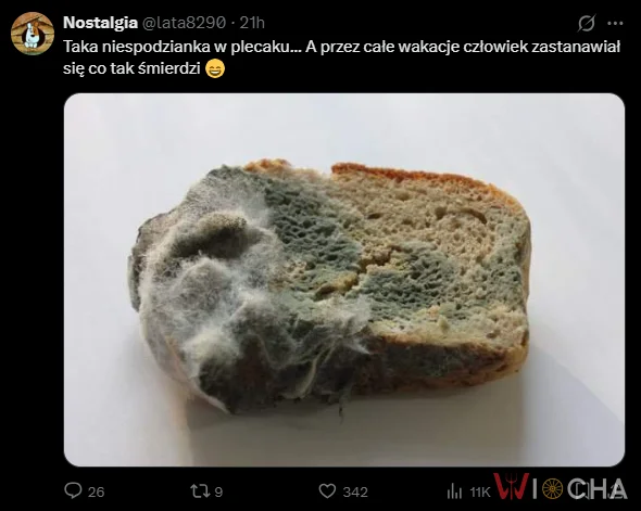 Niespodzianka po wakacjach