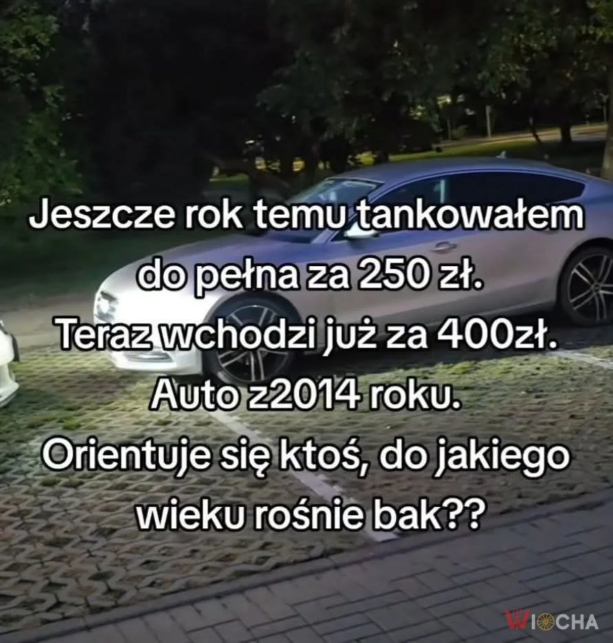 Rosną jak na drożdżach