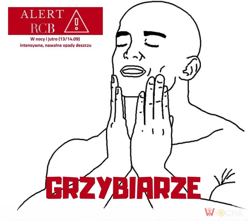 Deszczowe zbawienie dla grzybiarzy
