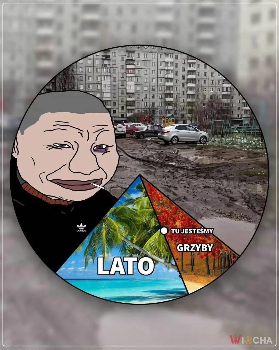 Polskie 3 pory roku