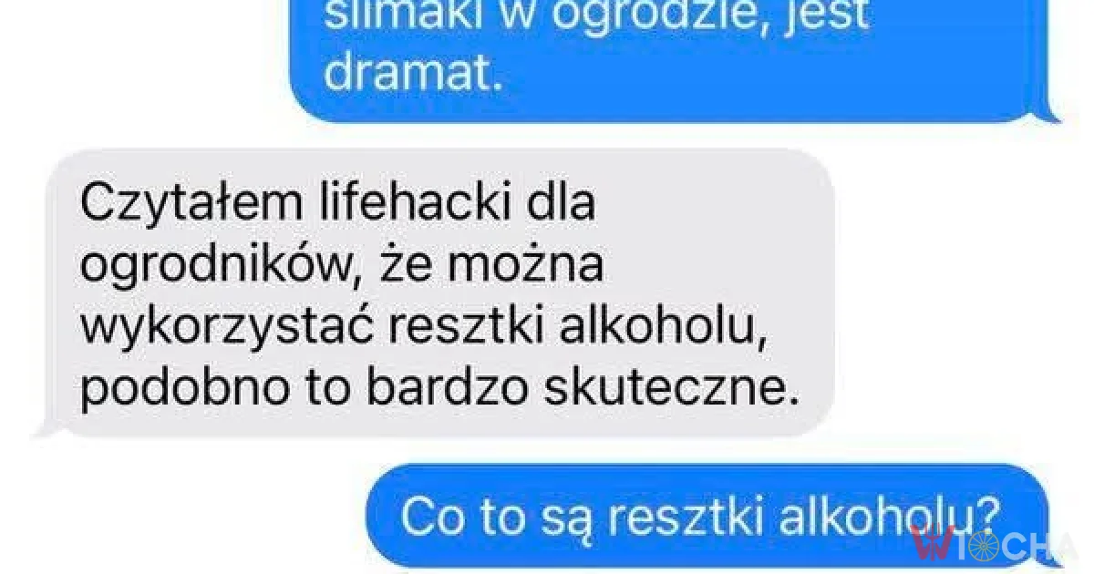 Lifehack z użyciem resztek