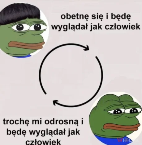 W kółko to samo