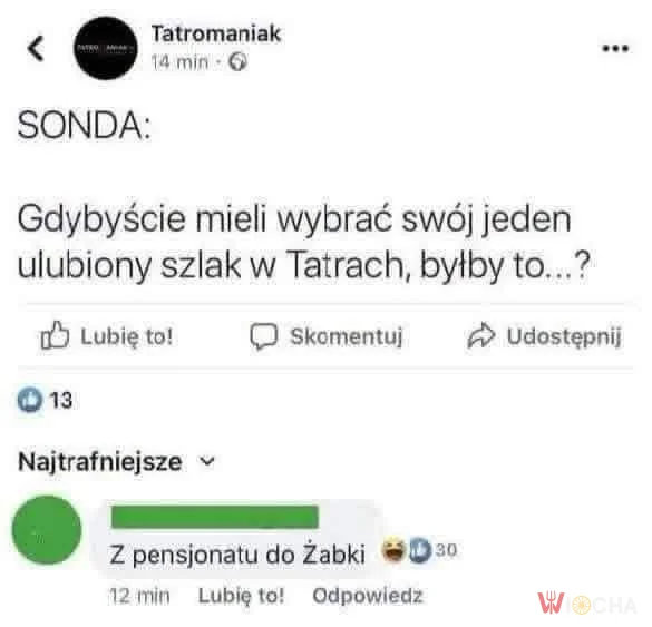 Z pensjonatu do Żabki