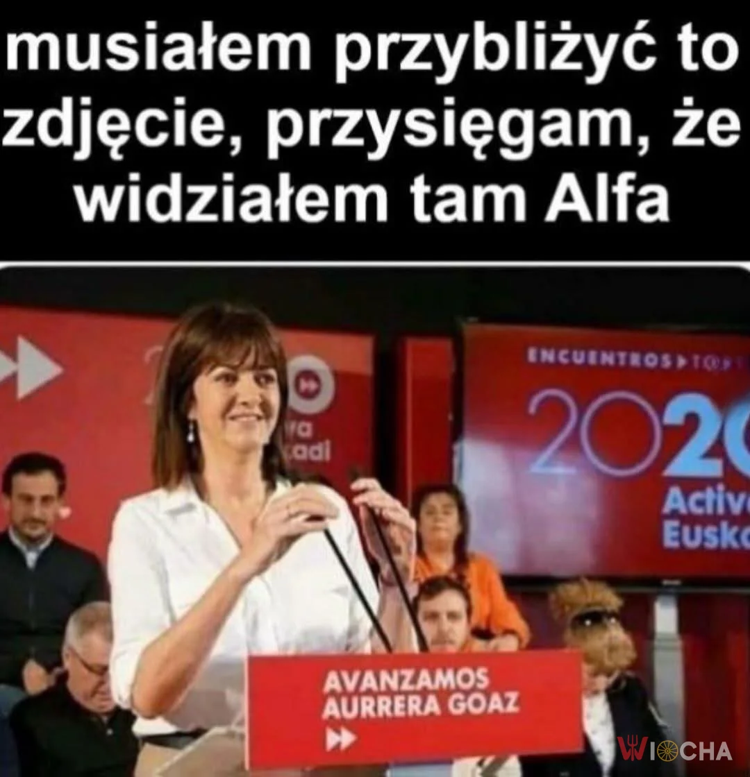 Przyznać się, kto widział Alfa?
