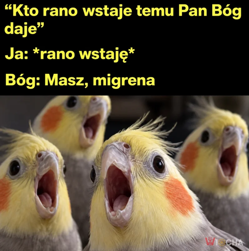Komu daje, temu daje