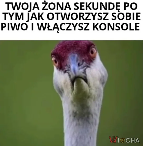 Od razu wiadoma mina