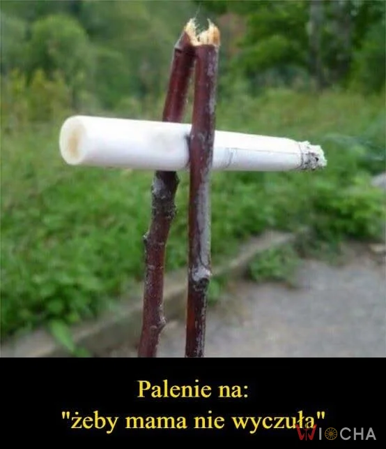 Zasady dyskretnego palenia