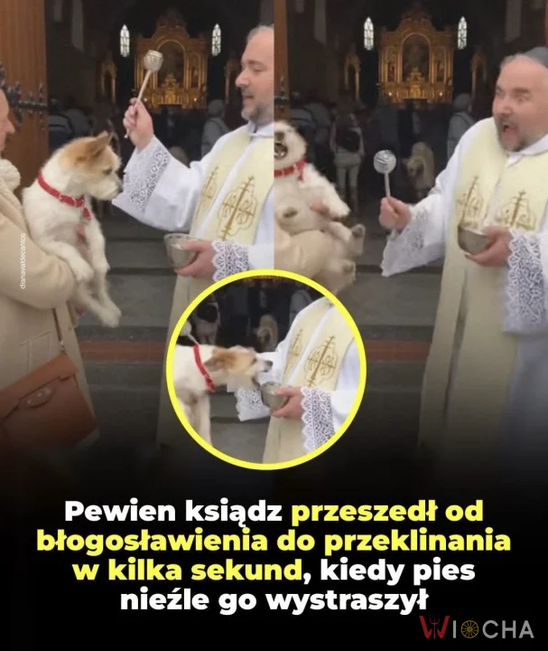 Błogosławieństwo pieska