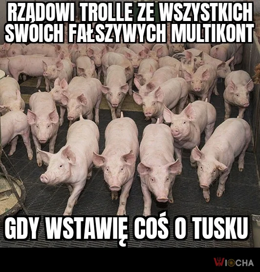Zawsze na posterunku, gotowe bronić 'wolnych mediów' ;)