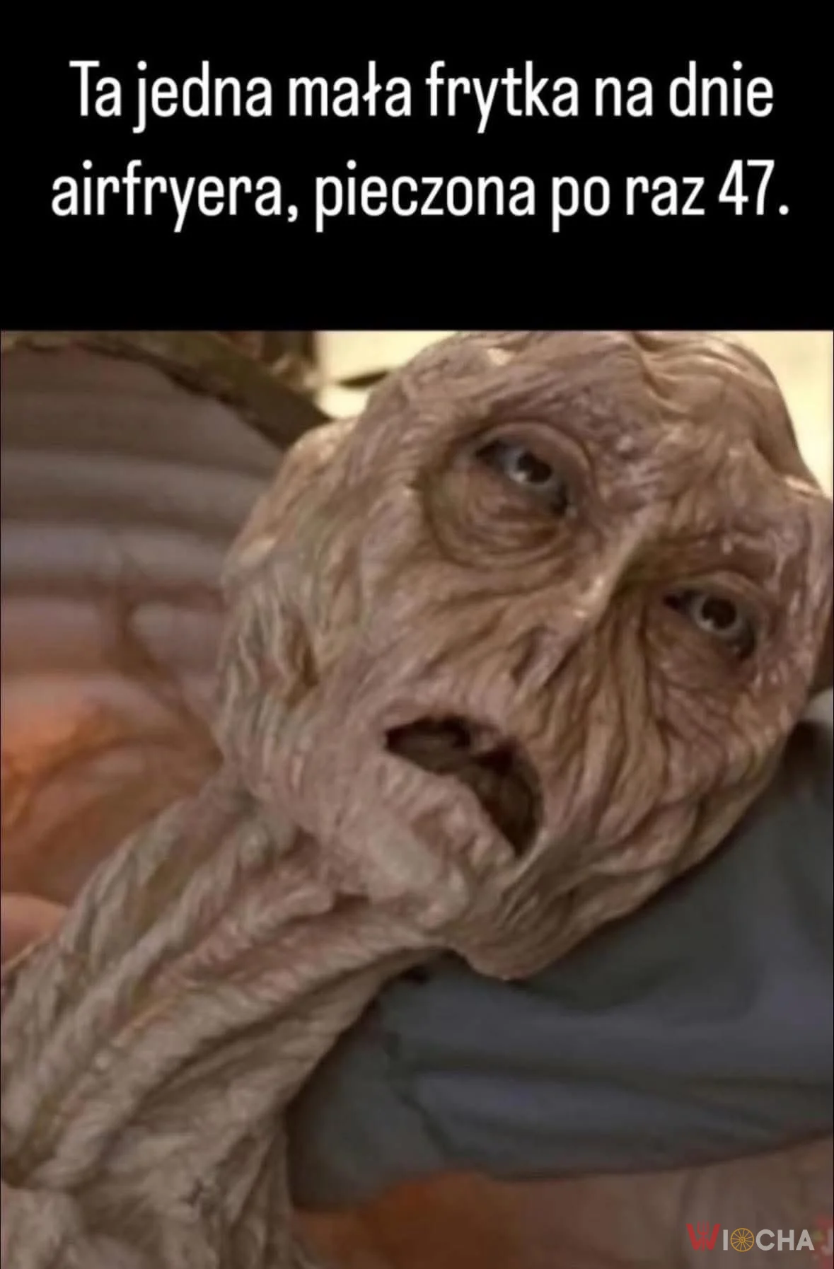 Biedna frytka