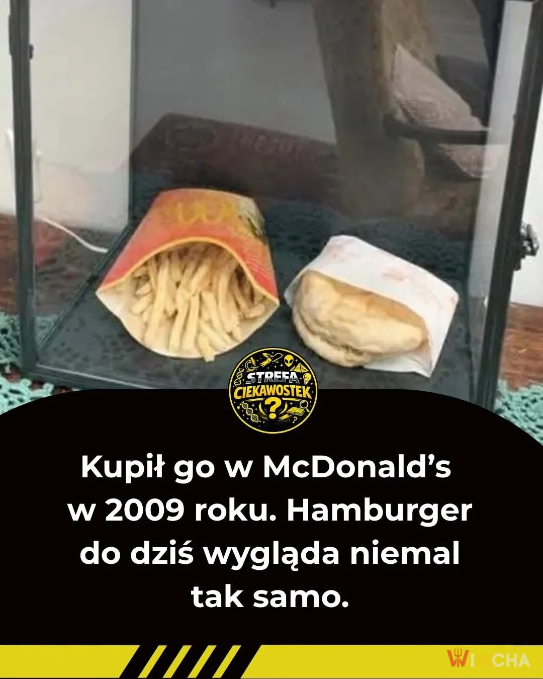 Zatrzymany w czasie