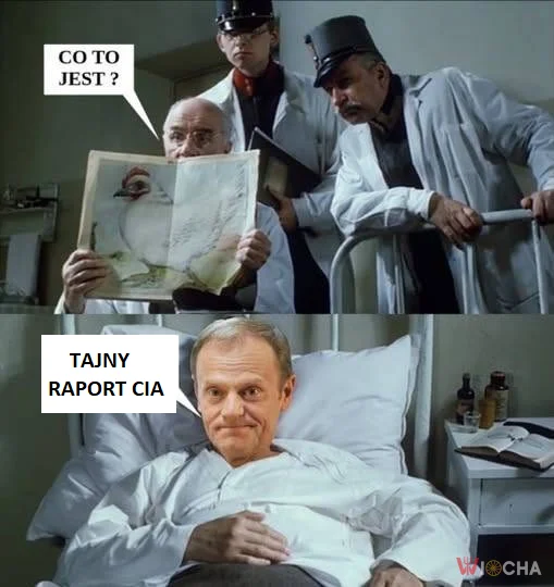Tajny raport o pingwinach