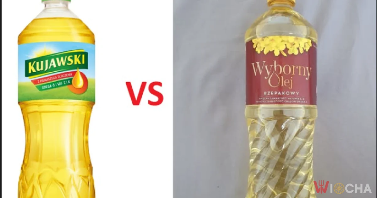 Kujawski vs Wyborny