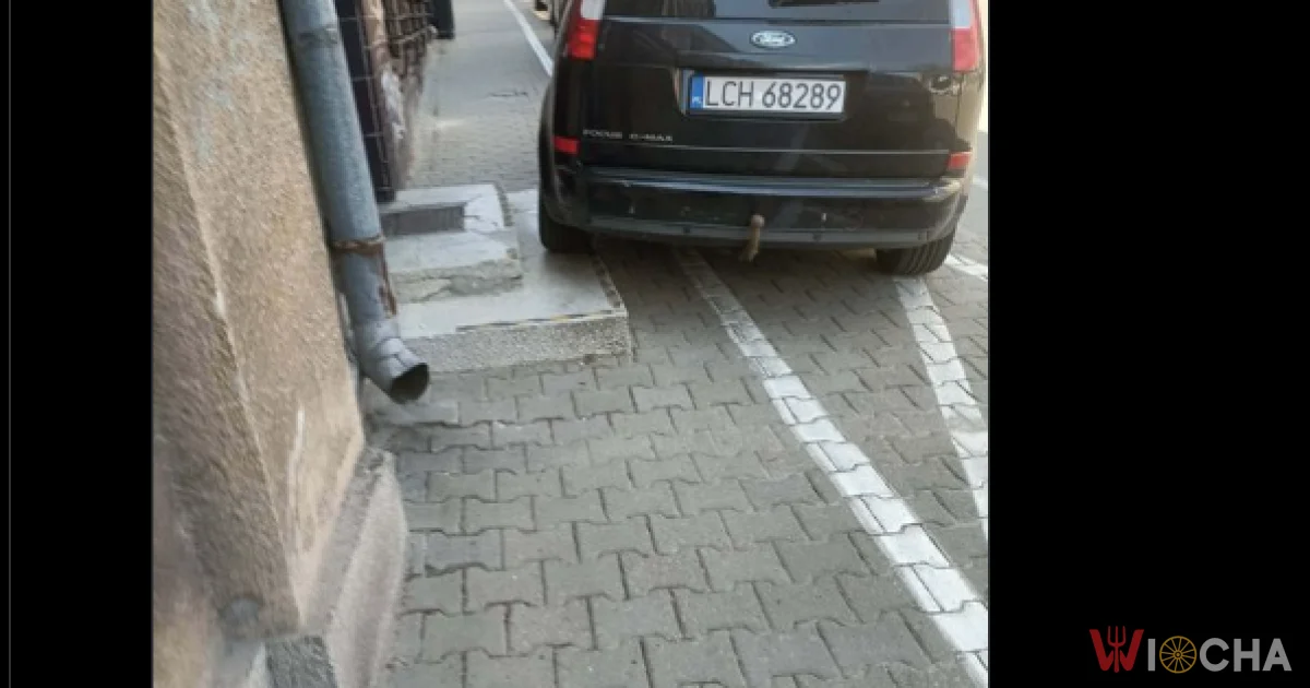 Mistrz parkowania