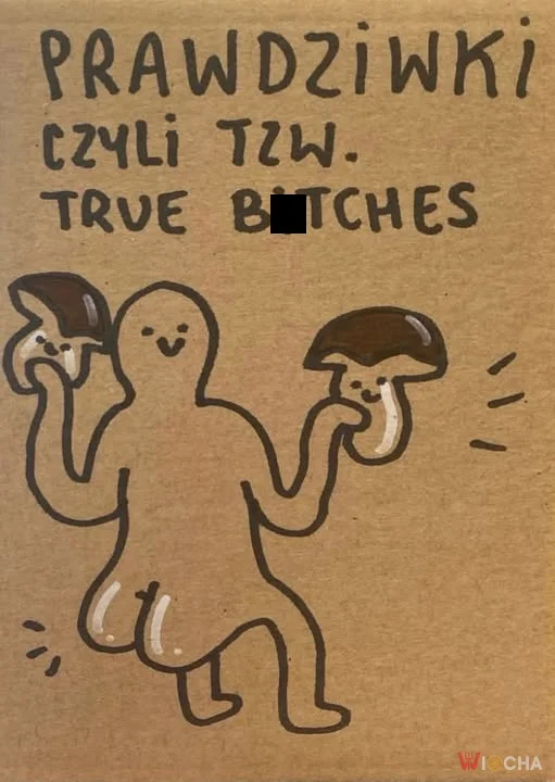 Grzybowe prawdziwki