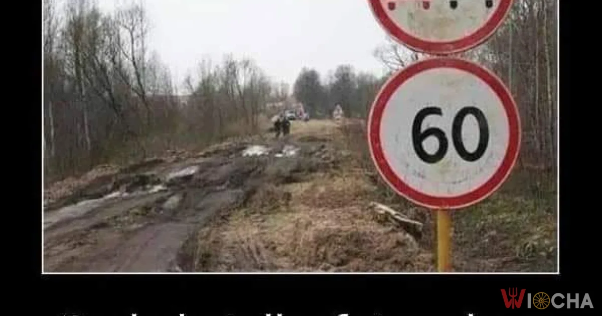 Polska w pigułce