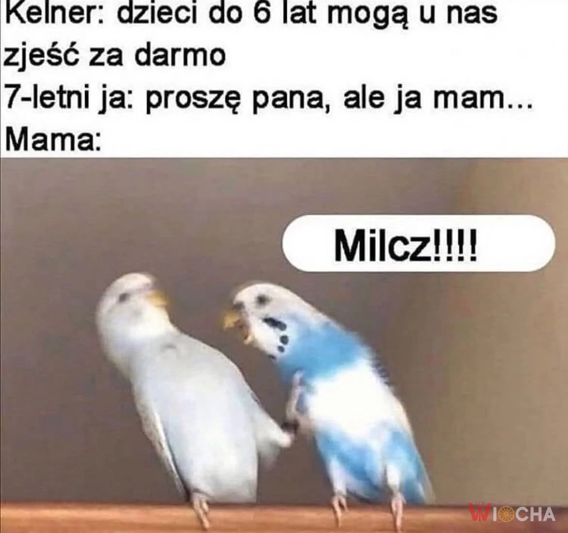 Masz 6 lat, milcz
