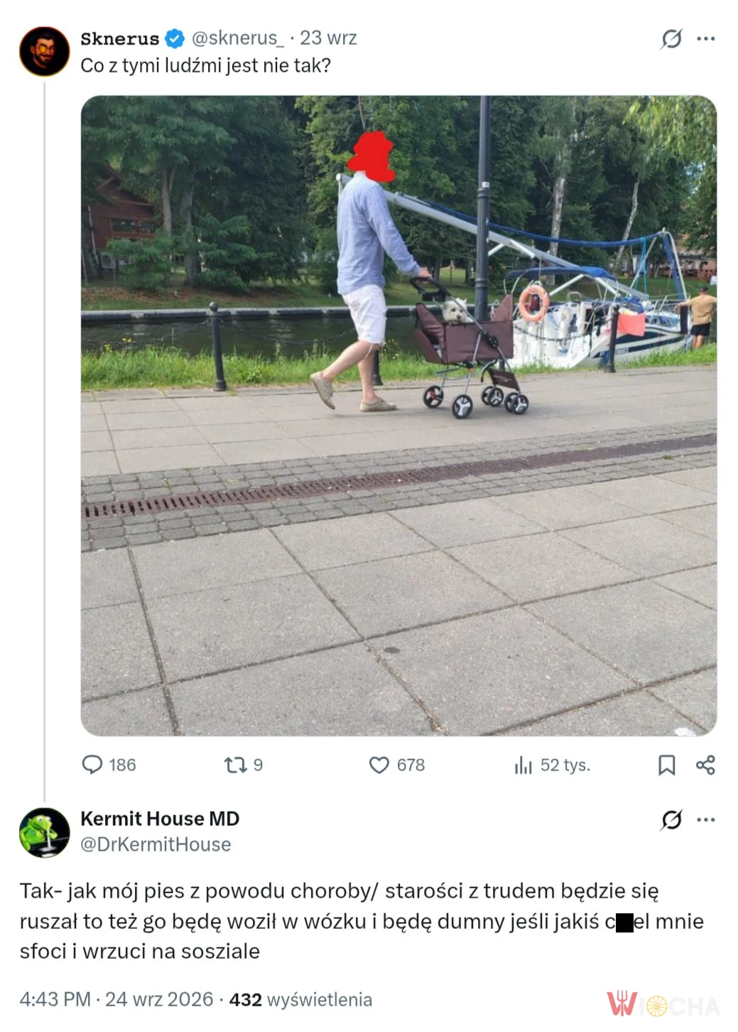 Wózek dla pieska