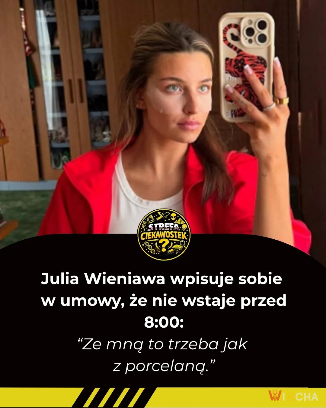 Porcelanowa zasada