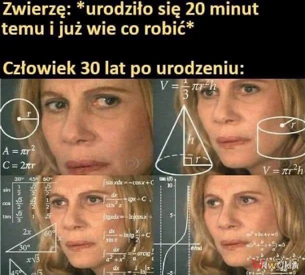 Wiem, że nic nie wiem
