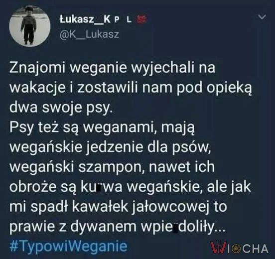 Psy weganie na wakacjach