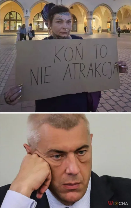Zrobiony w konia