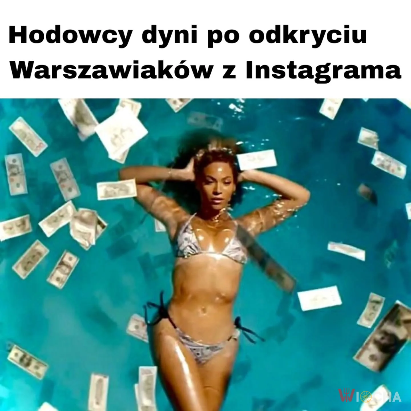 Moda na dynie