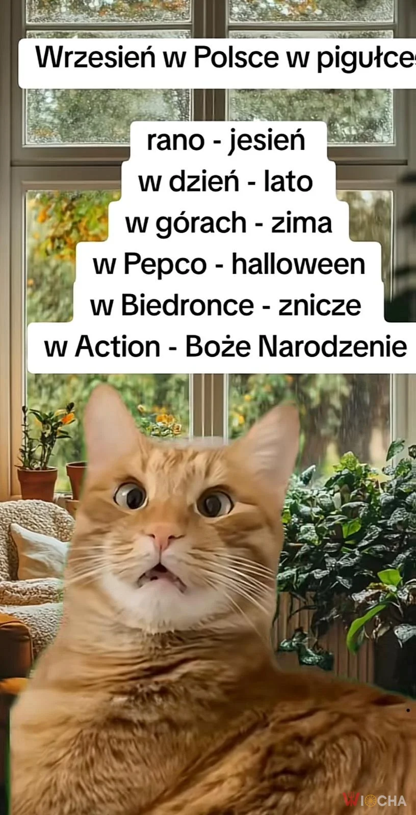 Wrzesień w Polsce