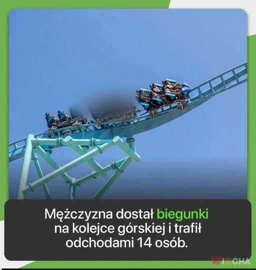 Wielka przygoda na rollercoasterze