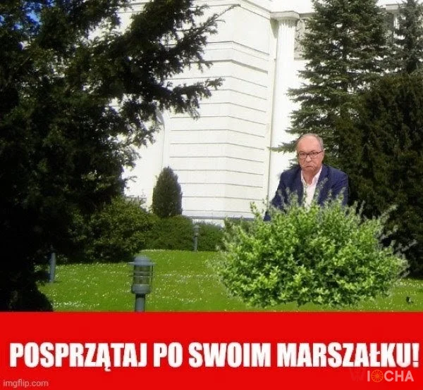 No co pan...?