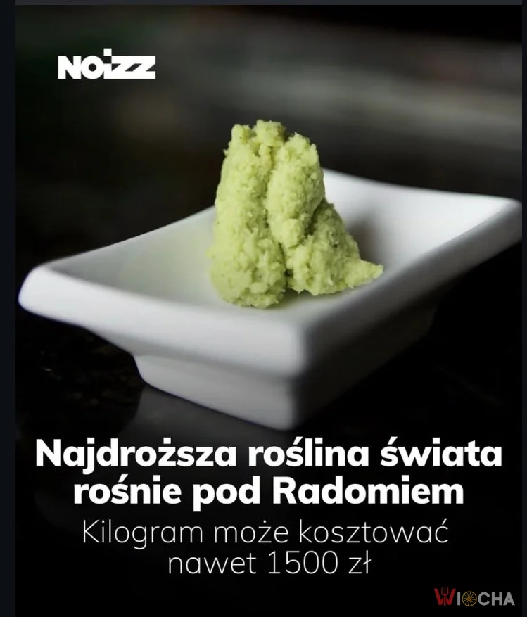 Radom przyspiesza gospodarczo