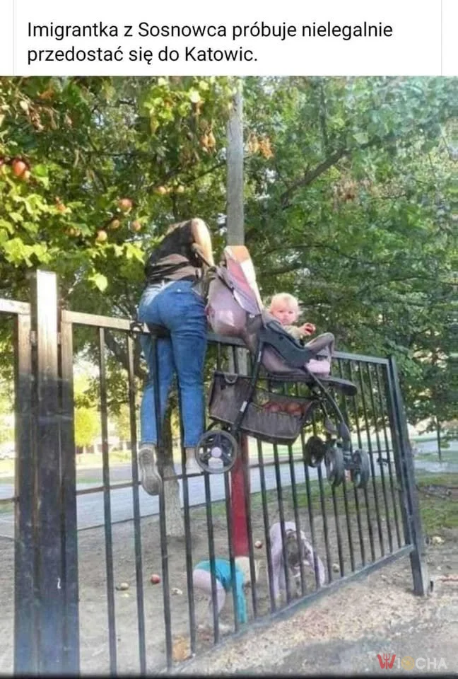 Na skróty do Katowic