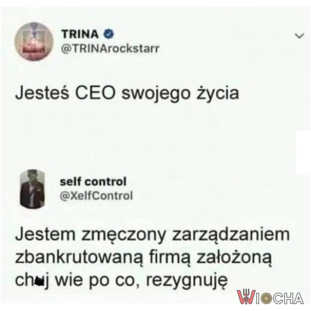 CEO w kryzysie