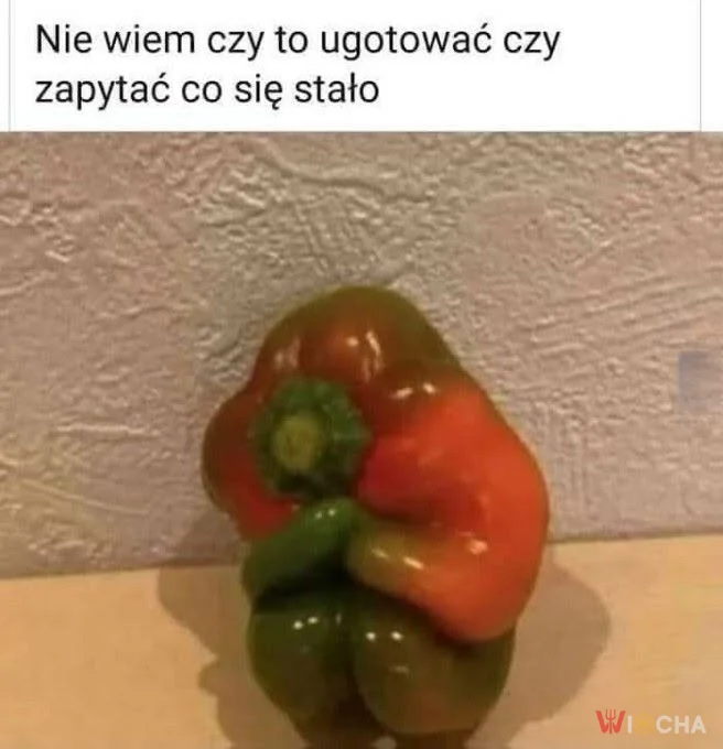 Wszystko z nią ok?