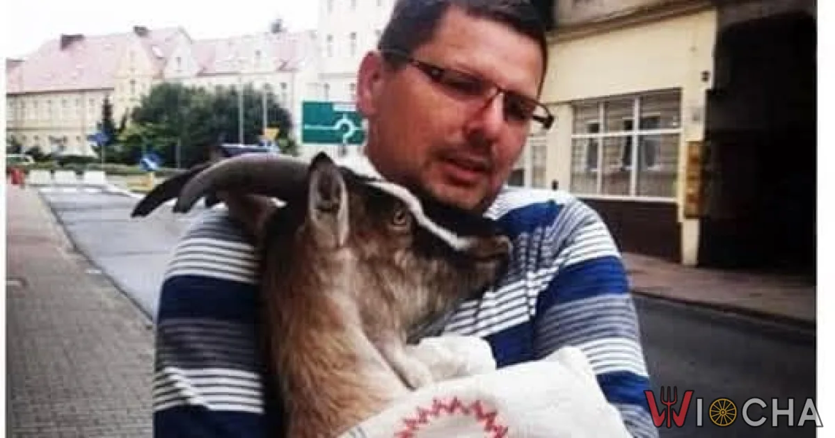 Kryzys w stylu wiejskim