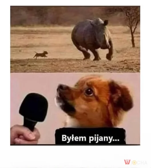 Byłem pijany