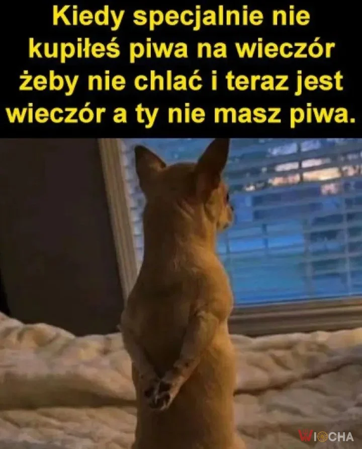 Kiedy chcesz być zdrowy, ale też szczęśliwy