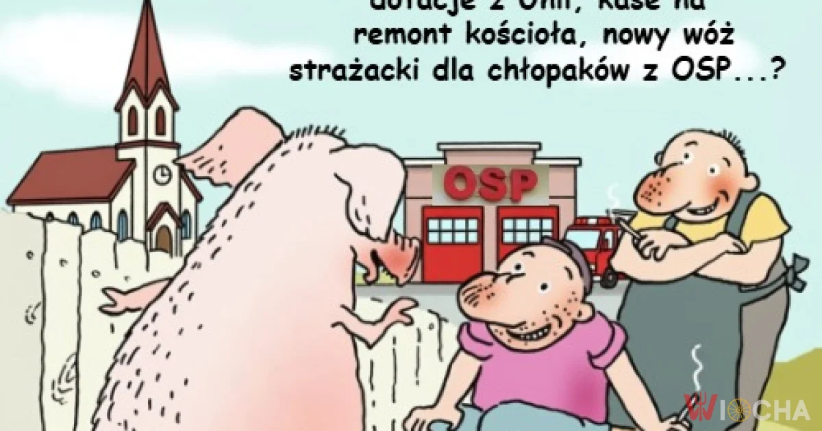 Skąd oni się biorą w Sejmie ?