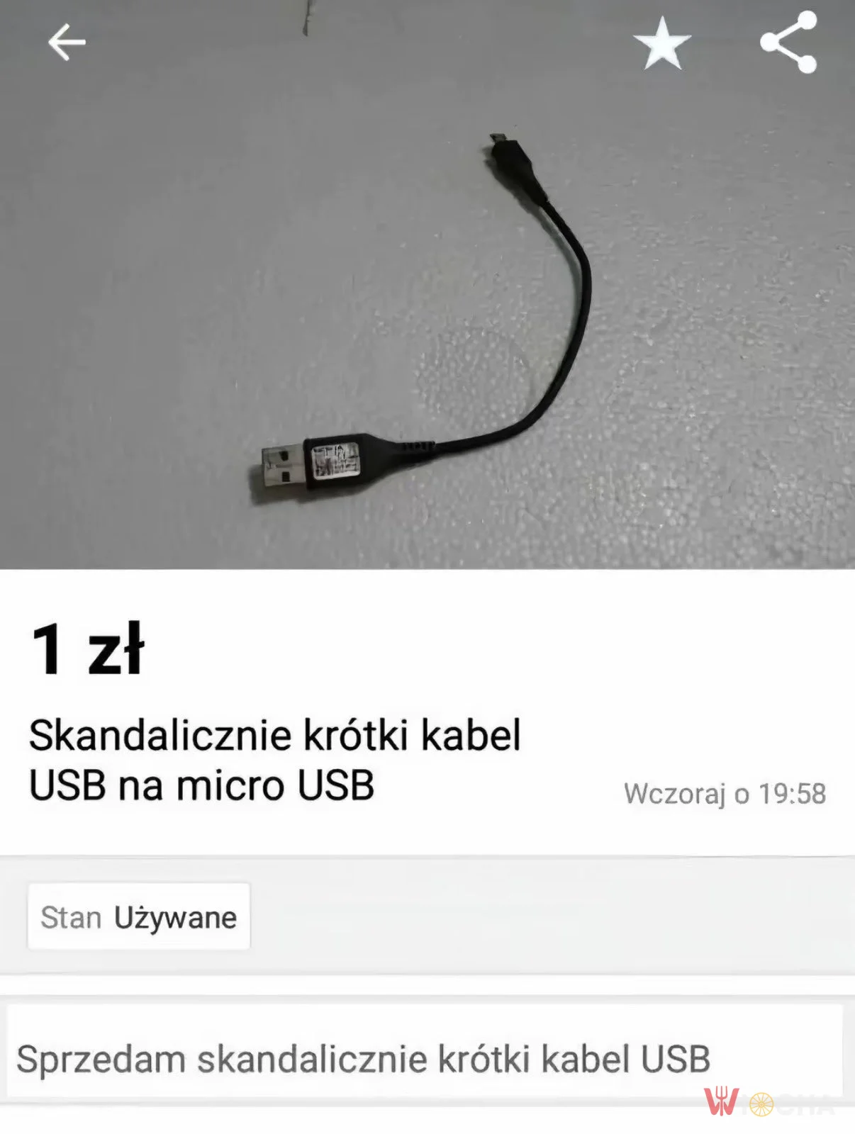 Skandaliczny kabel