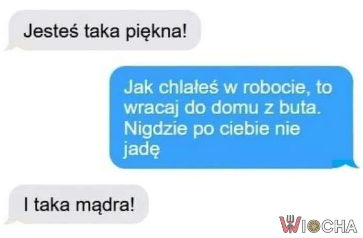 Piękna i mądra
