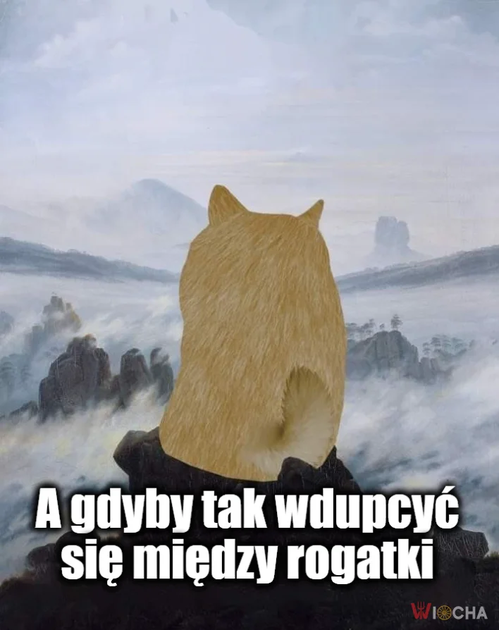 A może by tak
