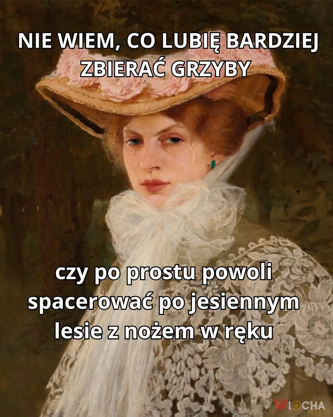 Grzybowe dylematy