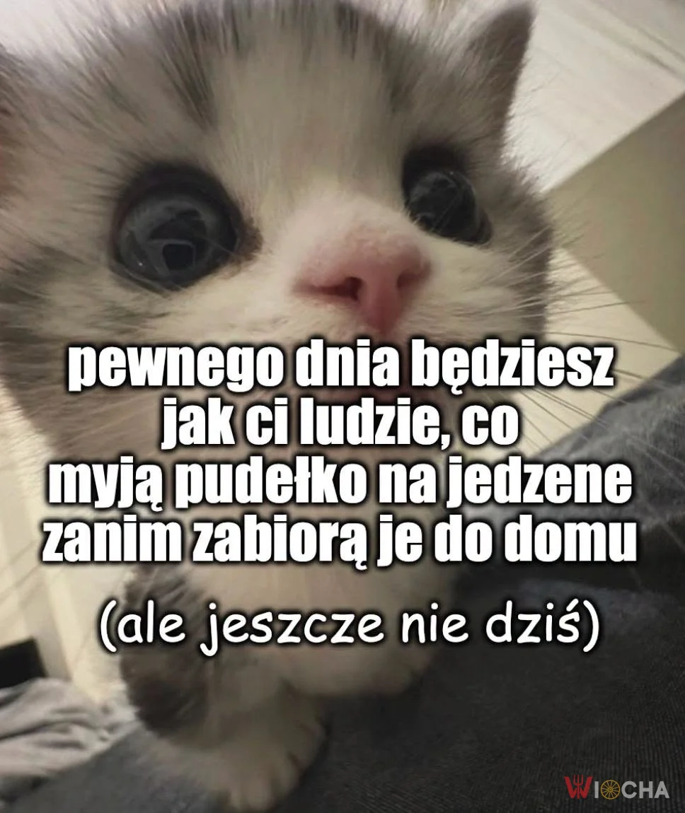 Kiedyś umyjesz to pudełko