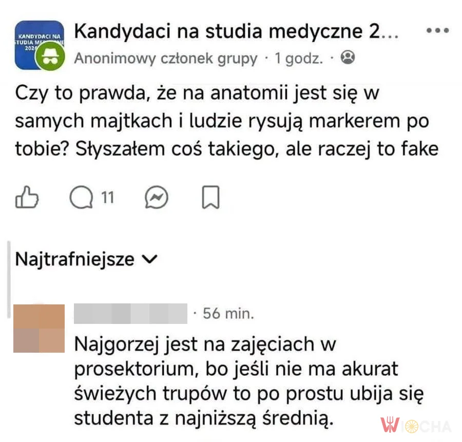 Anatomia w luźnym wydaniu